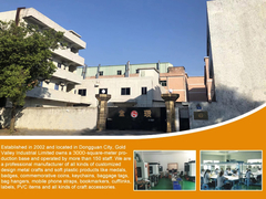 골드 밸리 인더셔널 리미티드